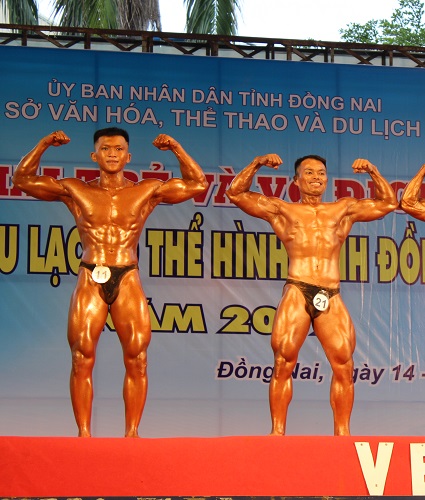 Giải tỉnh